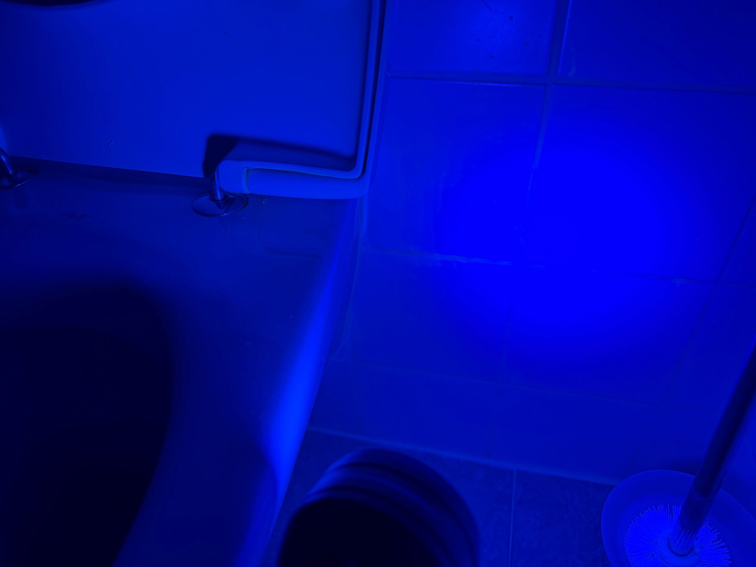 Een urinedetector detecteert urinevlekken op de tegels van een tegelwand naast een toilet.